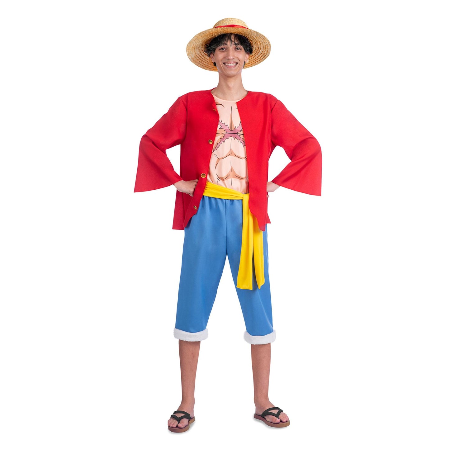 One Piece Luffy Adult Costume | Large