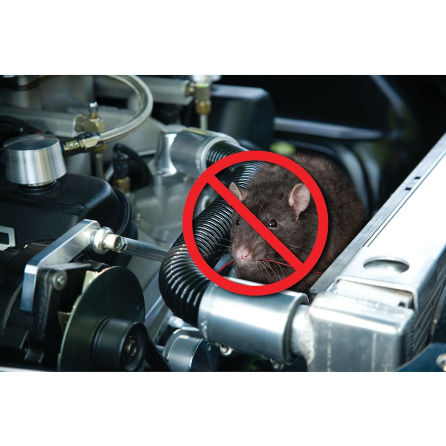 P3 International P7825 Underhood Animal Chaser