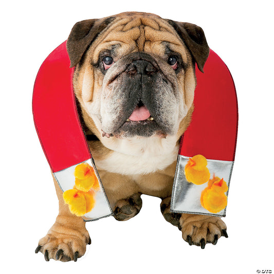Chick magnet dog costume