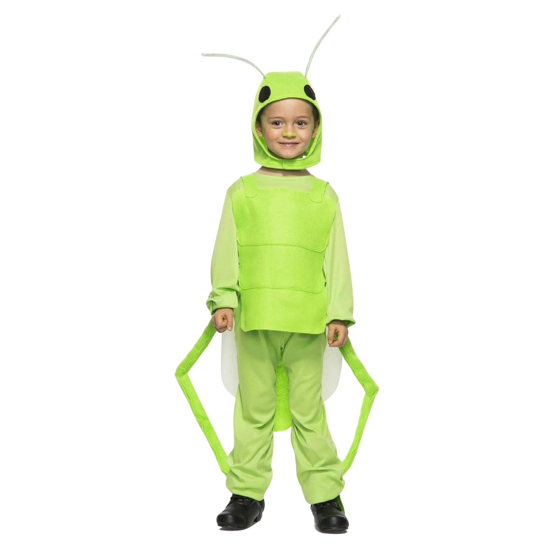 Flying Grasshopper Child Costume 4T