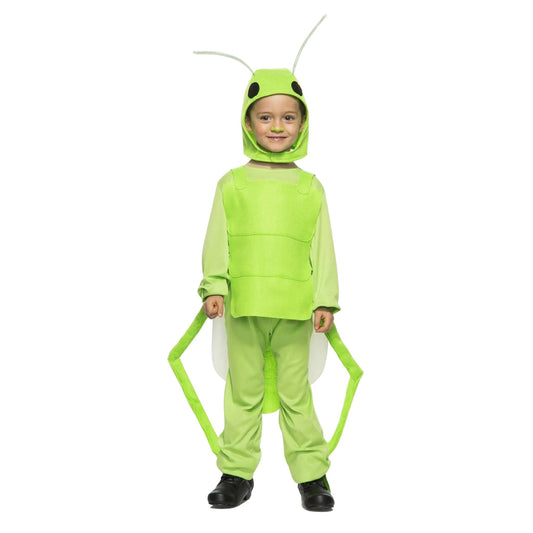 Flying Grasshopper Child Costume 4T